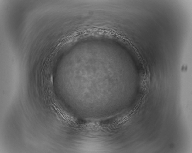 X0000112101489200908111405
