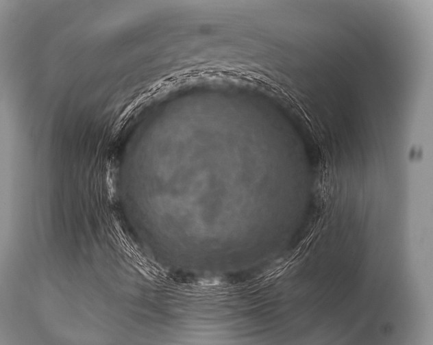 X0000112101490200908111405