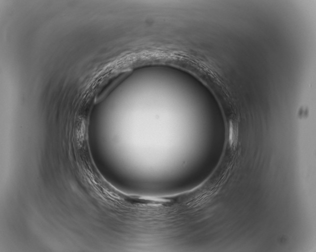 X0000112101492200908111405