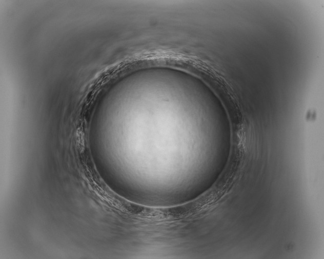 X0000112101493200908111405