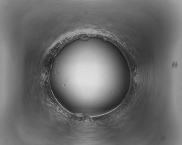 X0000112101495200908111405