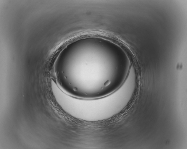 X0000112101496200908111405