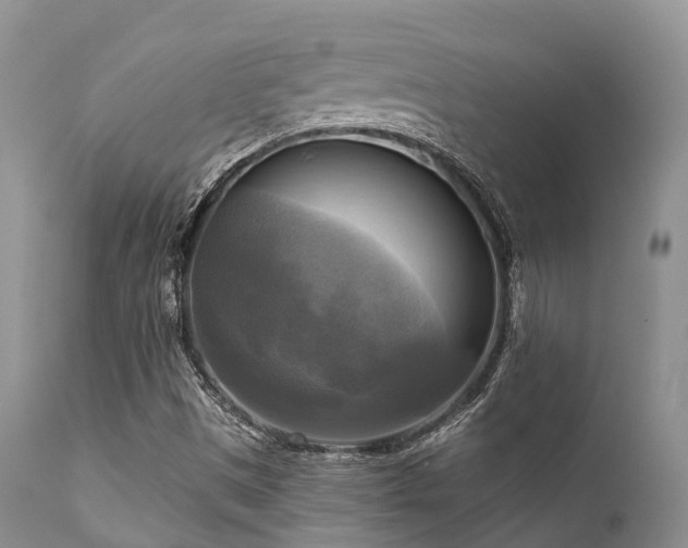 X0000112101497200908111405