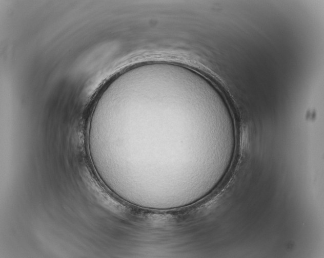 X0000112101498200908111405