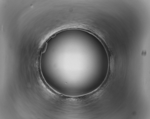 X0000112101500200908111405
