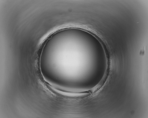 X0000112101502200908111405