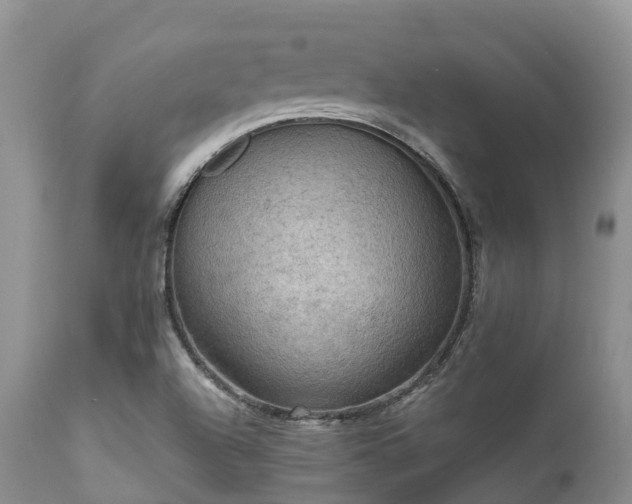 X0000112101504200908111405