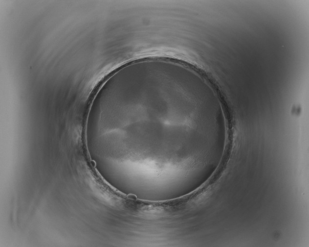 X0000112101505200908111405