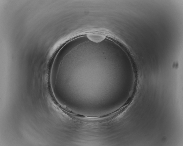 X0000112101506200908111405