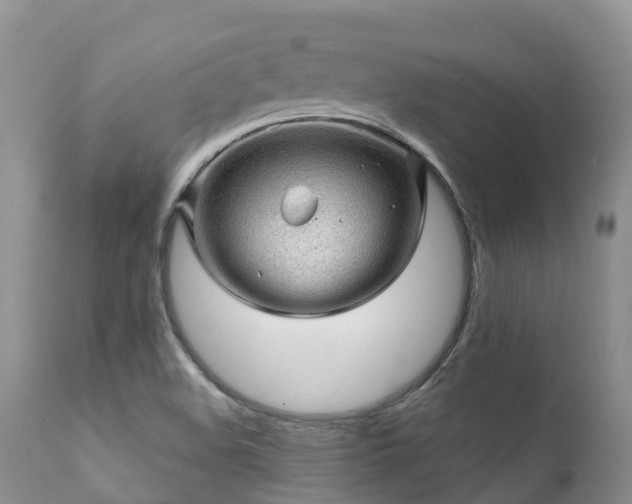 X0000112101508200908111405