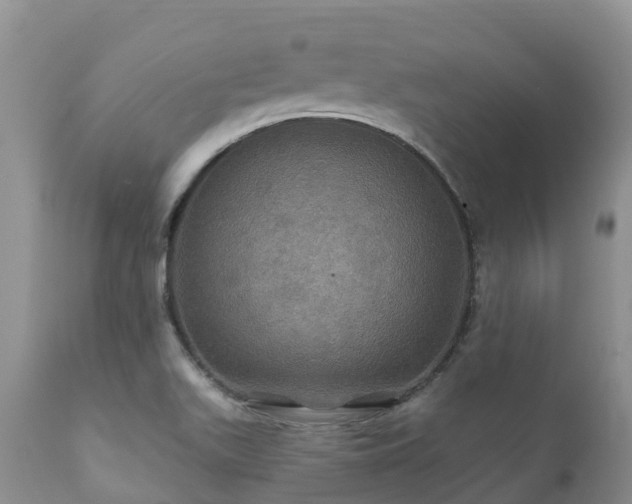 X0000112101511200908111405