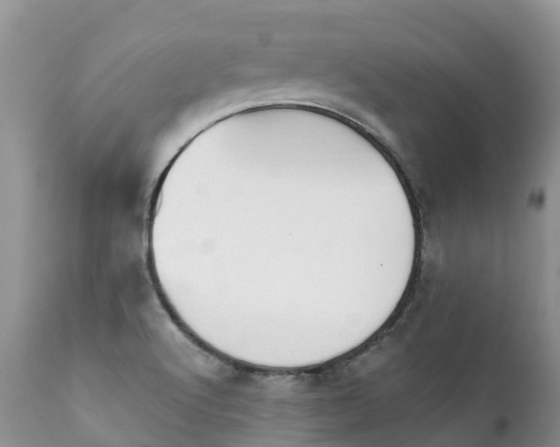 X0000112101512200908111405