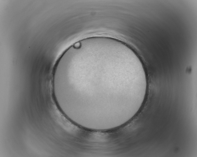 X0000112101514200908111405