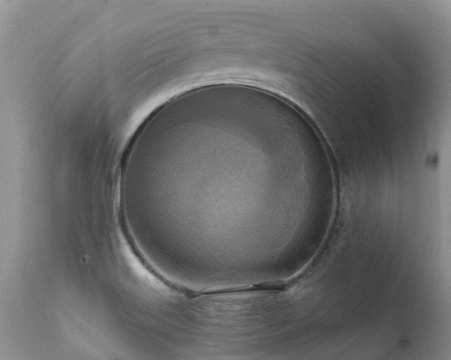X0000112101515200908111405