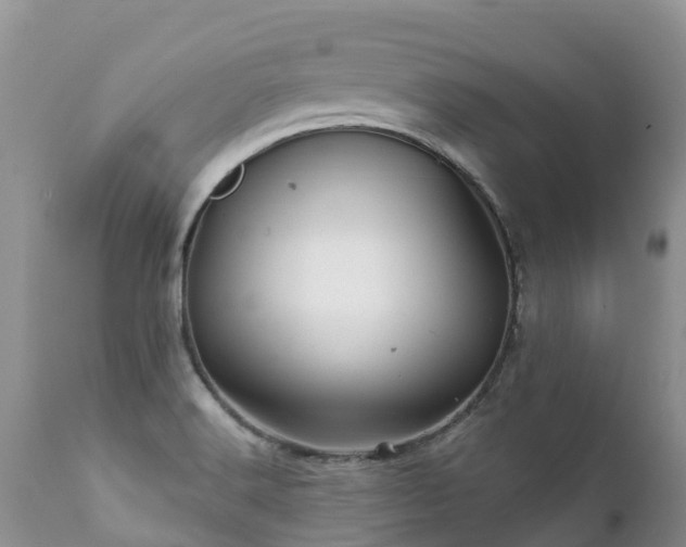 X0000112101516200908111405