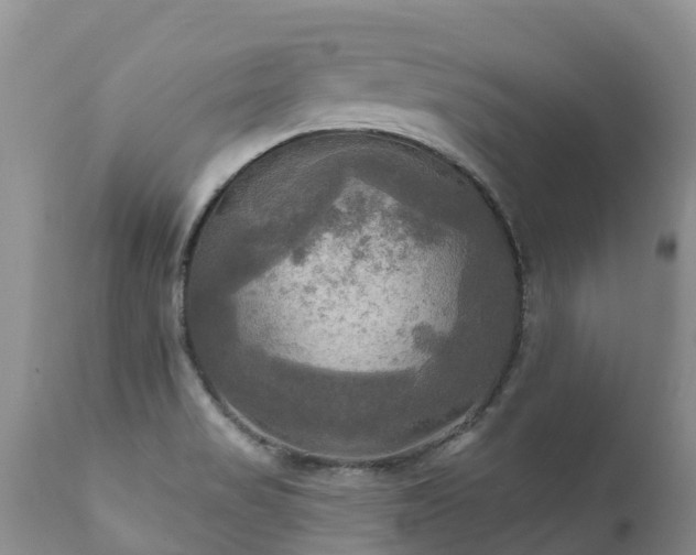 X0000112101517200908111405