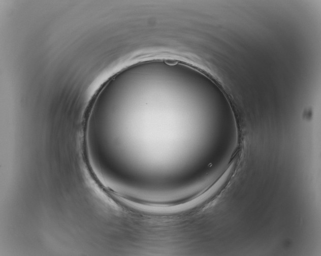 X0000112101518200908111405