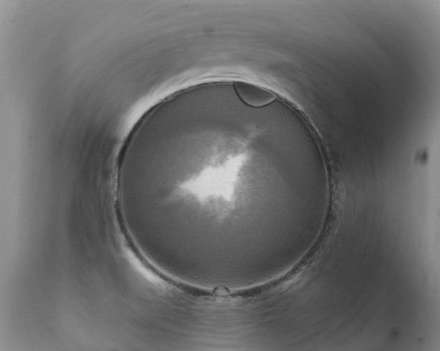 X0000112101519200908111405