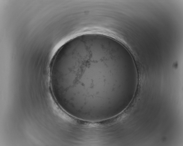 X0000112101522200908111405