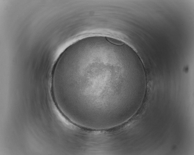 X0000112101523200908111405