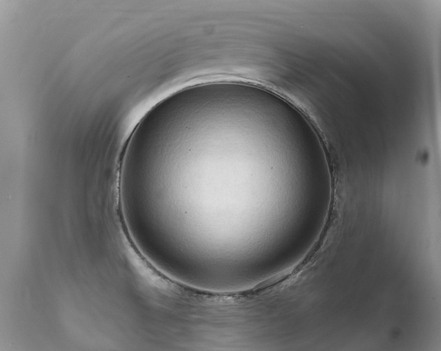 X0000112101524200908111405