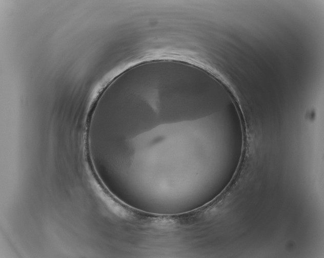 X0000112101525200908111405
