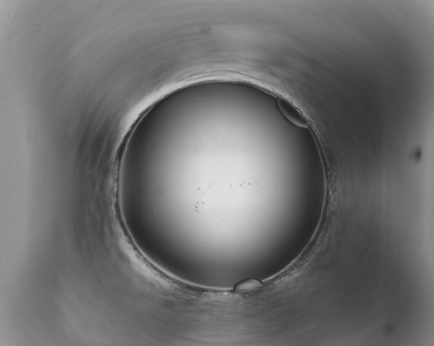 X0000112101526200908111406