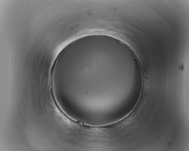 X0000112101527200908111406
