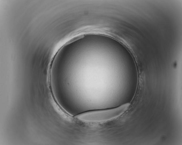X0000112101528200908111406