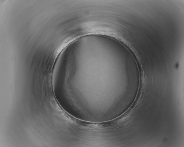 X0000112101529200908111406
