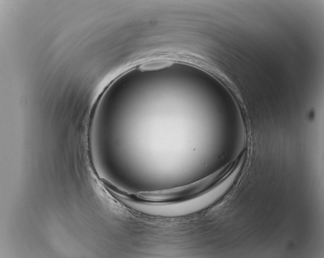 X0000112101530200908111406