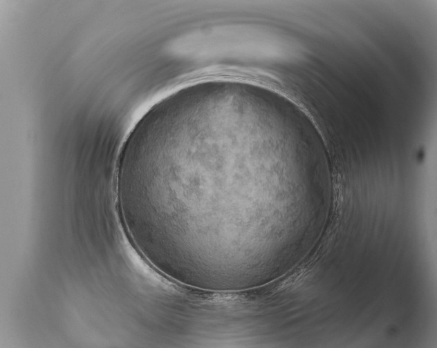 X0000112101531200908111406