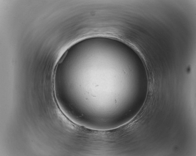 X0000112101532200908111406