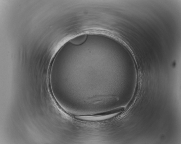 X0000112101533200908111406