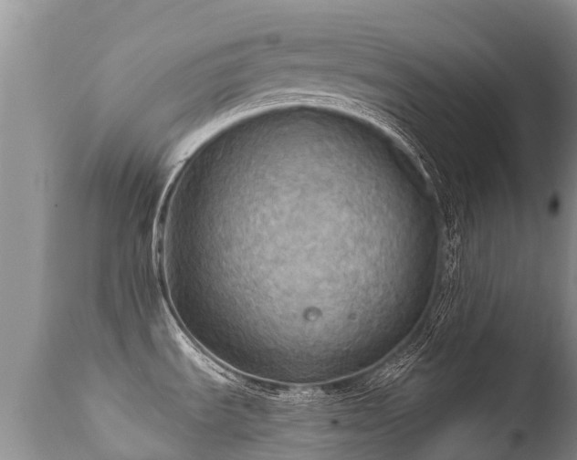 X0000112101535200908111406