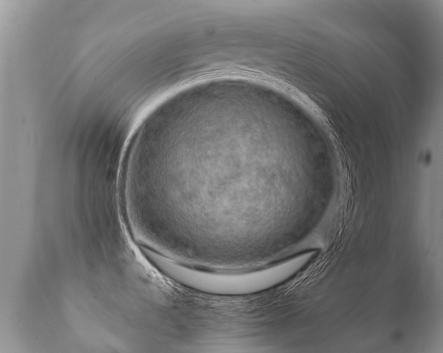 X0000112101536200908111406