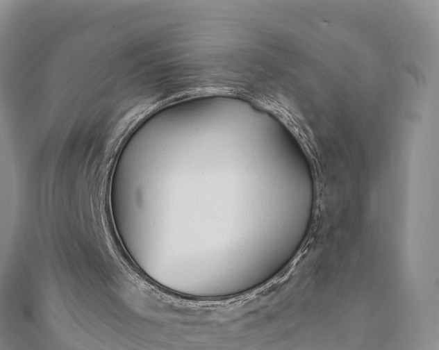 X0000112100001200908181336