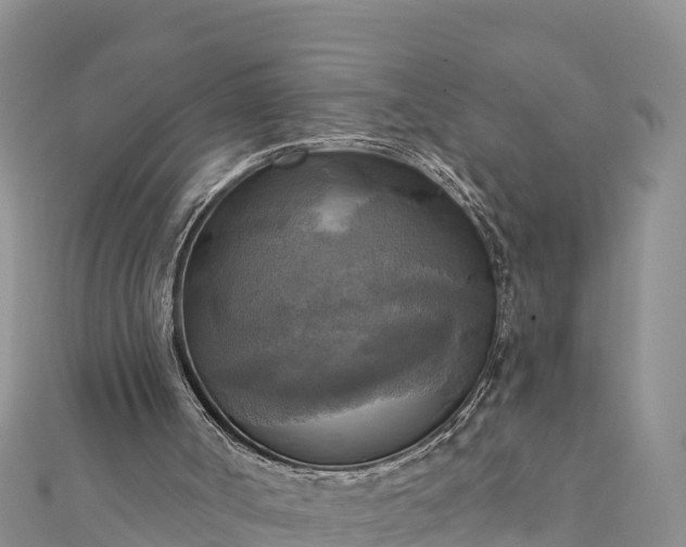 X0000112100002200908181336