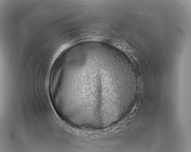 X0000112100003200908181336