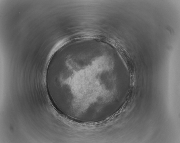 X0000112100004200908181336