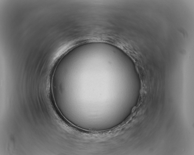 X0000112100005200908181336