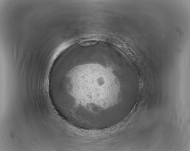 X0000112100006200908181336