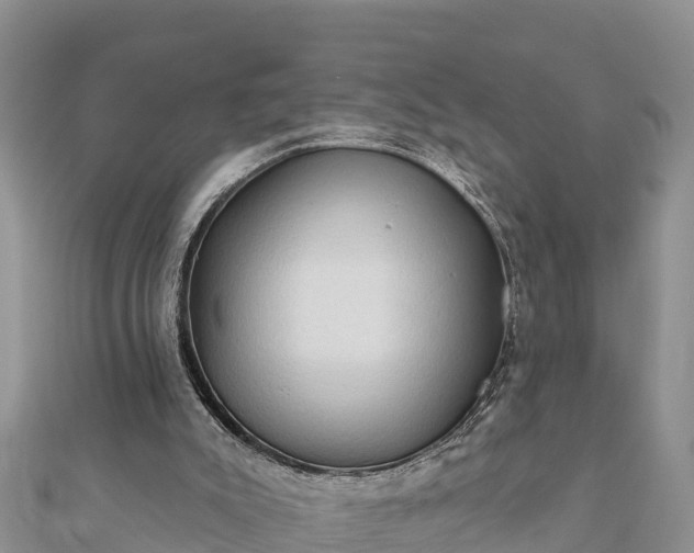 X0000112100007200908181336