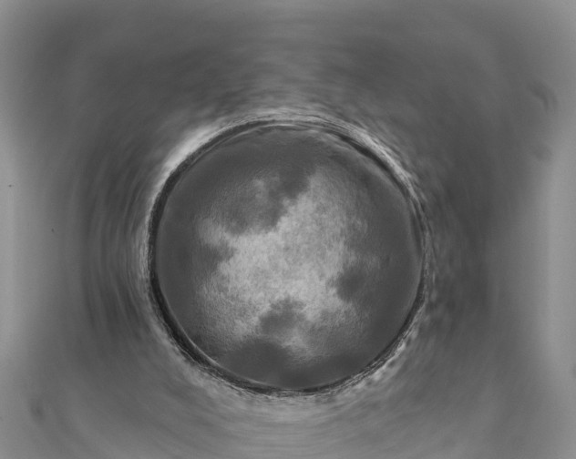 X0000112100008200908181336