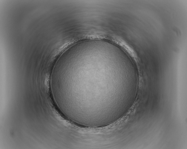 X0000112100009200908181336