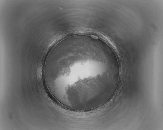 X0000112100010200908181336