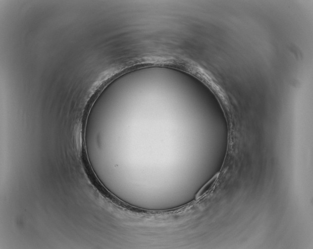 X0000112100011200908181336