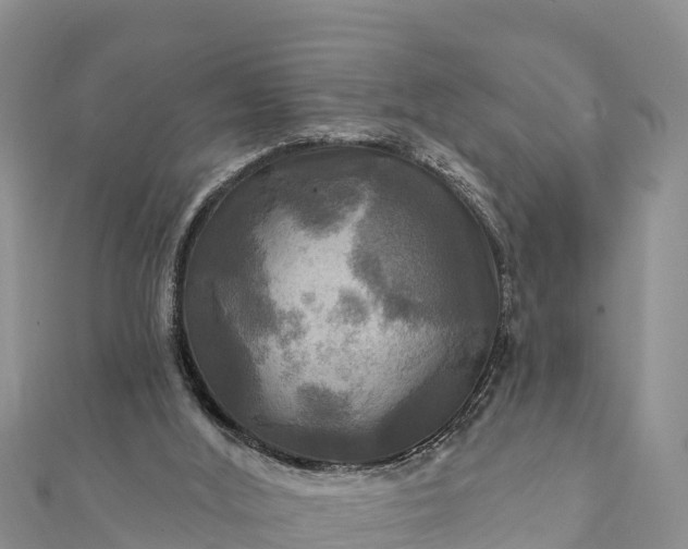 X0000112100012200908181335