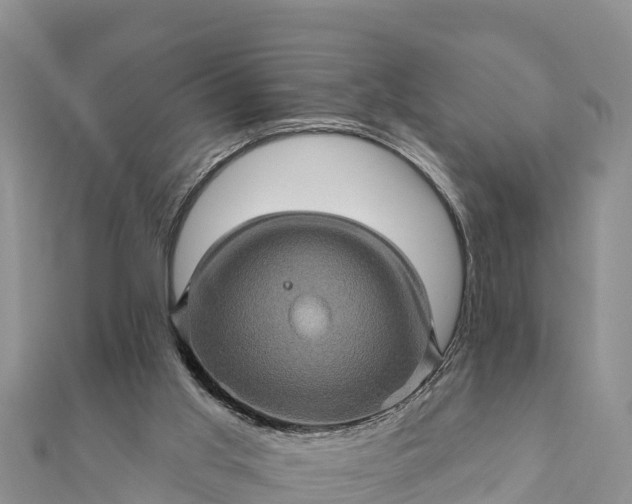 X0000112100013200908181335