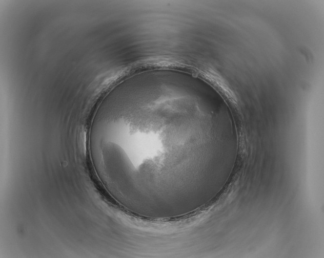 X0000112100014200908181335